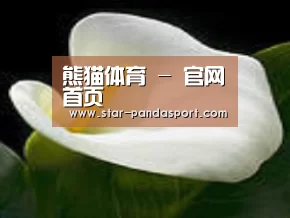 产品名称七