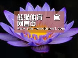 产品名称六