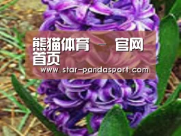 产品名称八