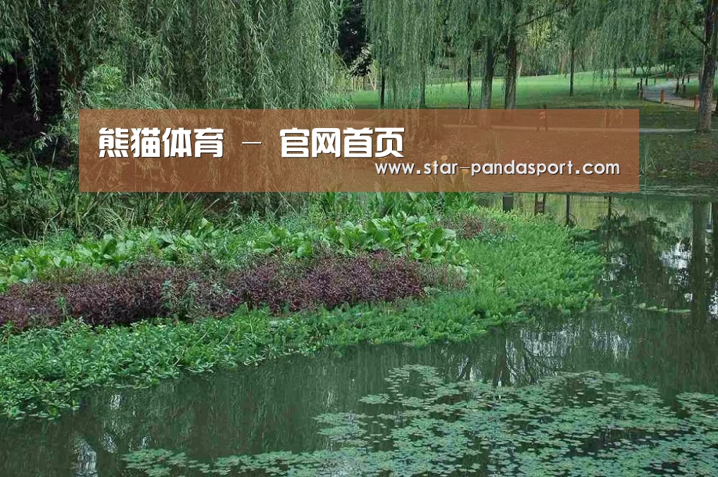 案例展示一