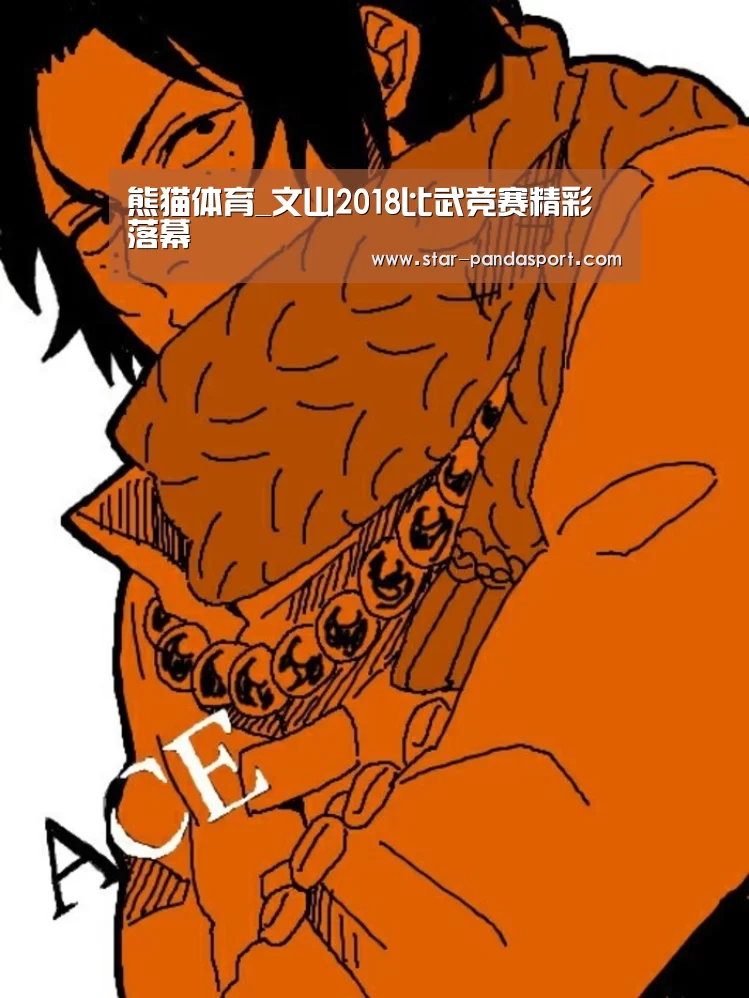 熊猫体育_文山2018比武竞赛精彩落幕