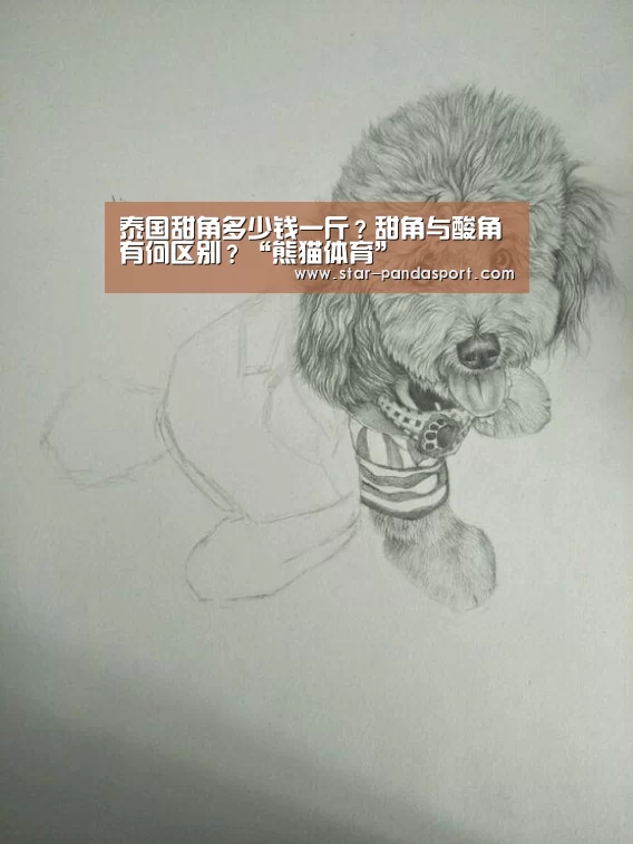泰国甜角多少钱一斤?甜角与酸角有何区别?“熊猫体育”(图2) 熊猫