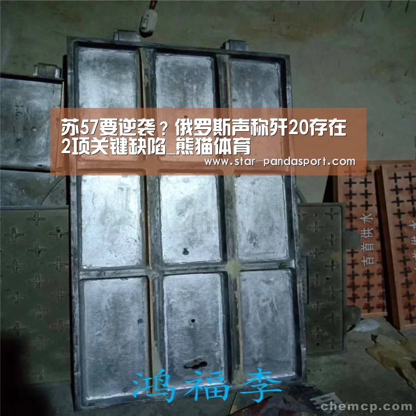 苏57要逆袭?俄罗斯声称歼20存在2项关键缺陷_熊猫体育(图2) 熊猫体育app