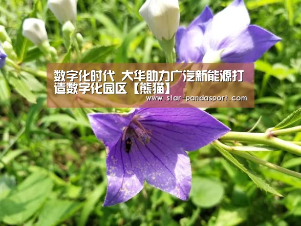 数字化时代 大华助力广汽新能源打造数字化园区【熊猫】