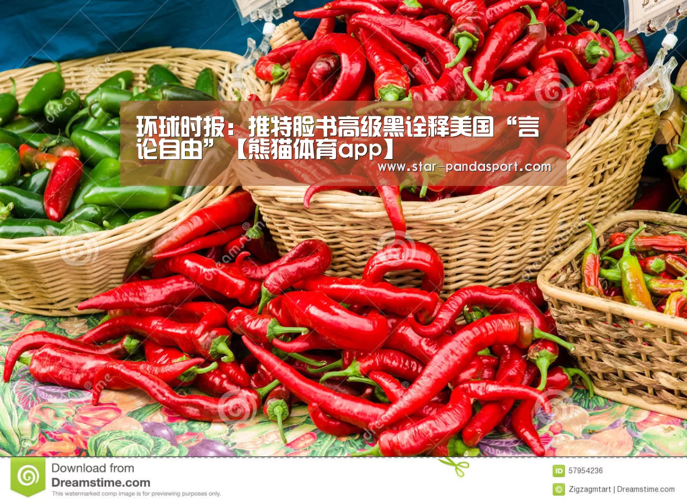 环球时报:推特脸书高级黑诠释美国“言论自由”【熊猫体育app】(图2) 熊猫体育