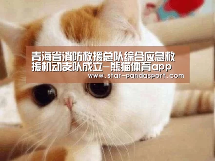 熊猫体育app