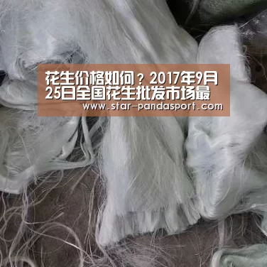 熊猫体育